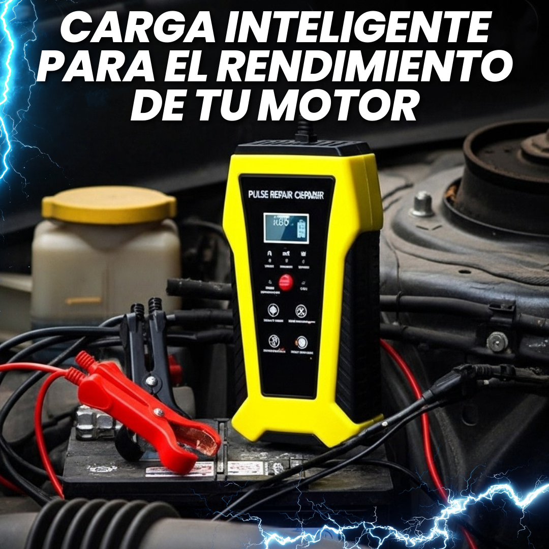CARGADOR DE BATERIA